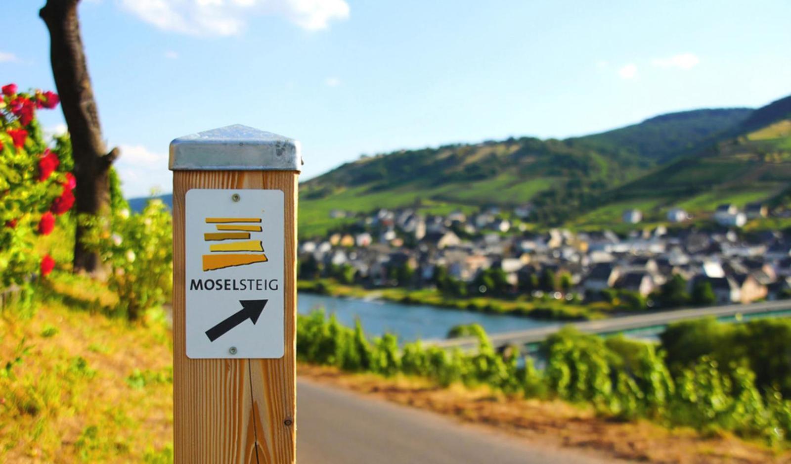 Gästehaus Weingut Mathy-Schanz Osann-Monzel Exterior foto