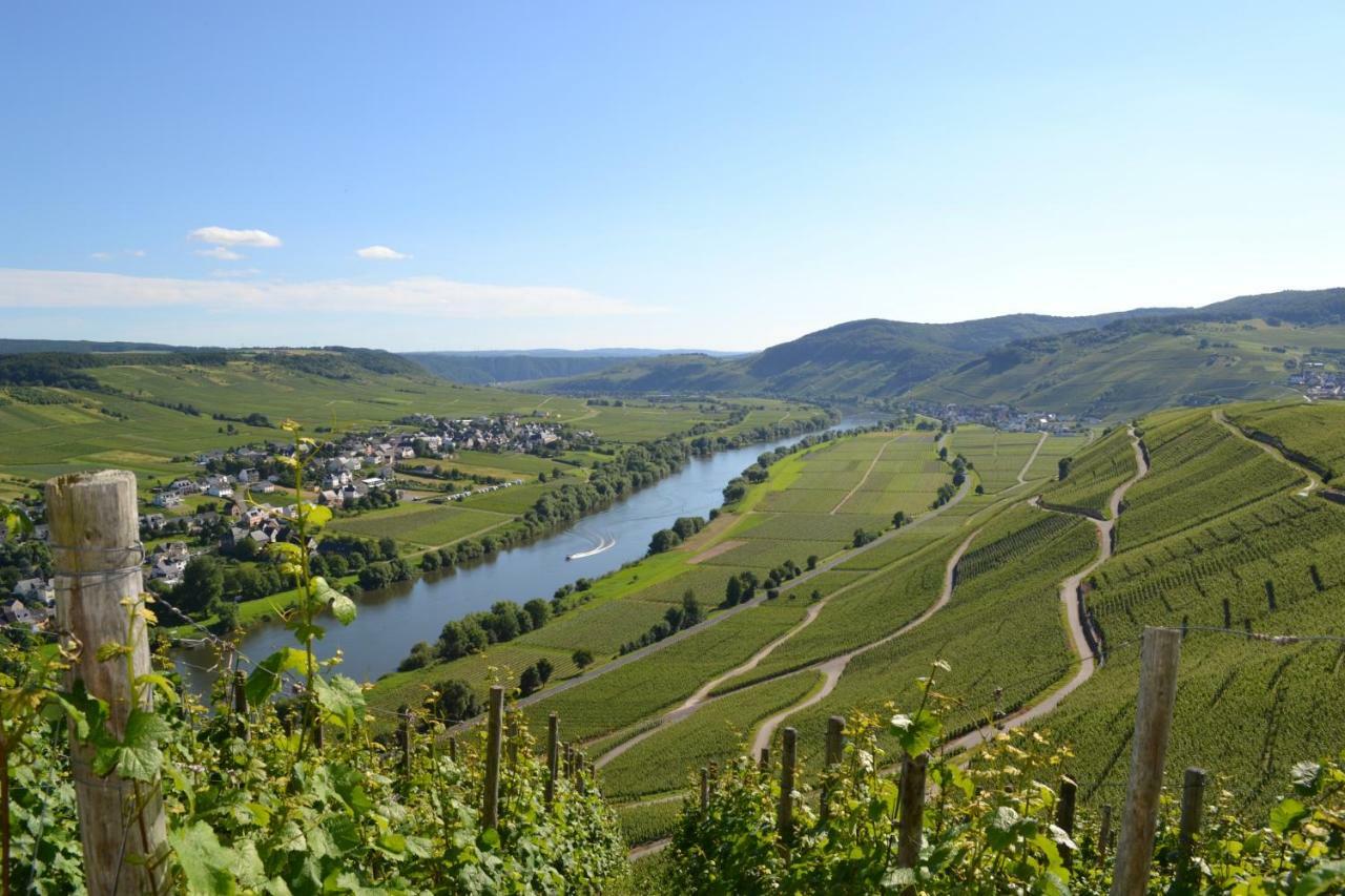 Gästehaus Weingut Mathy-Schanz Osann-Monzel Exterior foto