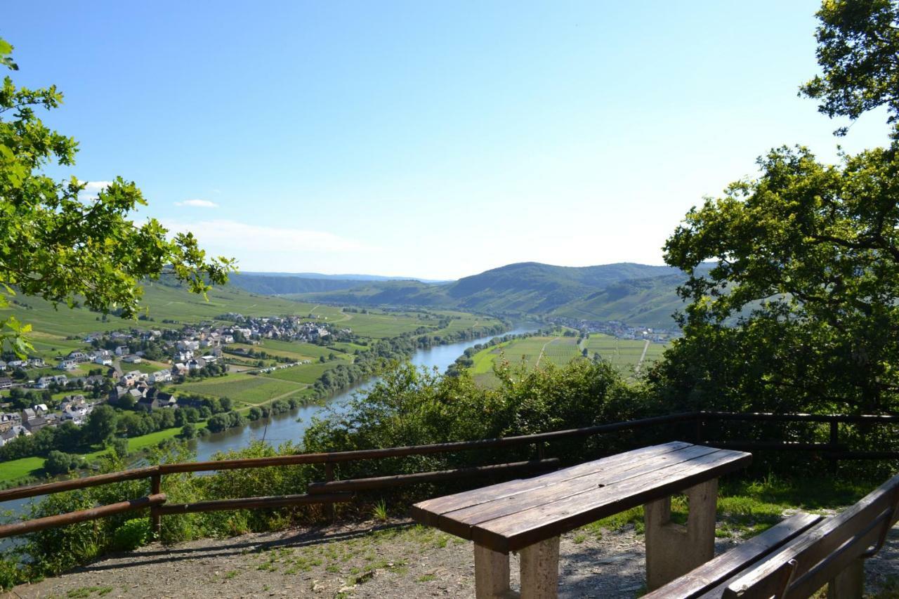 Gästehaus Weingut Mathy-Schanz Osann-Monzel Exterior foto