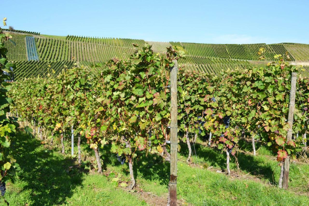 Gästehaus Weingut Mathy-Schanz Osann-Monzel Exterior foto